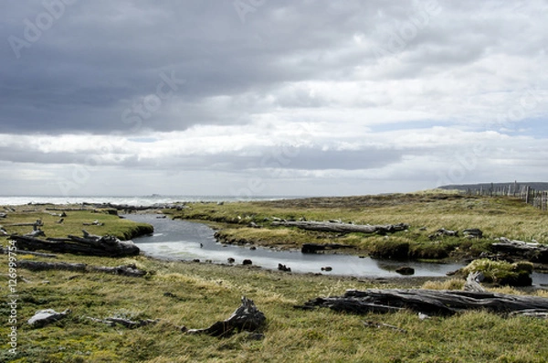 Fototapeta View of Seno Otway - Patagonia - Chile