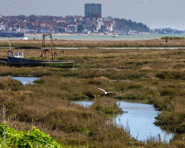 Obraz Gull Flying Over the Salt Marsh at Leigh-on-Sea, Essex