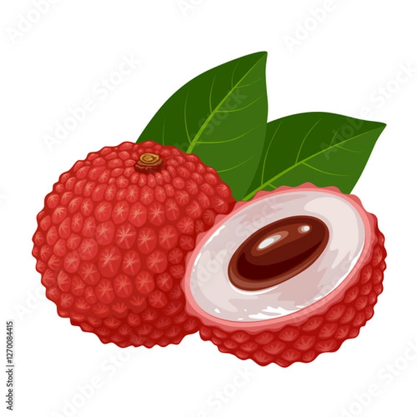 Obraz Illustration of Lychee fruit, scientific name Litchi chinensis, isolated on white background.