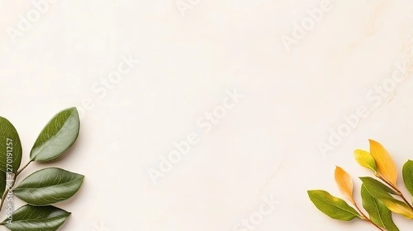 Fototapeta Elegant arrangement of green and yellow leaves on a soft marble background, ideal for nature-themed designs