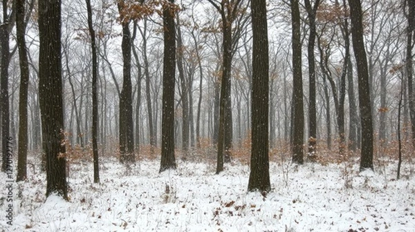 Fototapeta Snow-covered forest landscape with bare trees and scattered leaves during winter snowfall