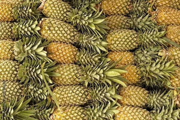Fototapeta Pineaples.