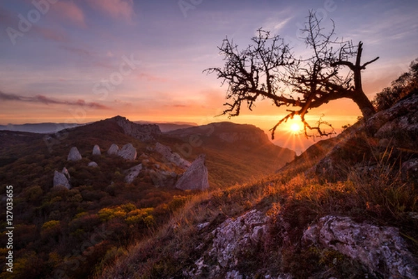 Obraz Vivid sunrise over a natural circus of stones called Devil's Fingers (Temple of the sun). Beams of the rising sun shine through branches of the dead tree. Place of power, where shamans gather, Crimea