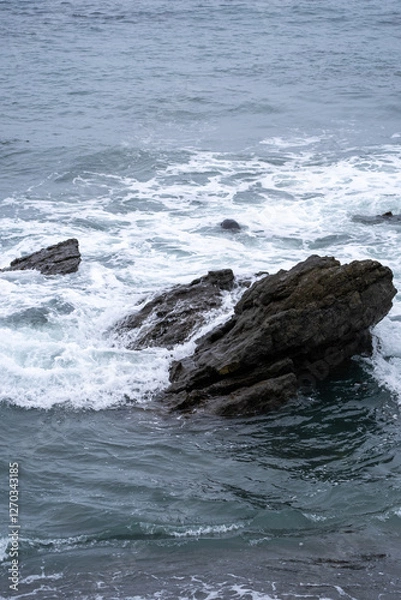 Obraz waves on the rocks