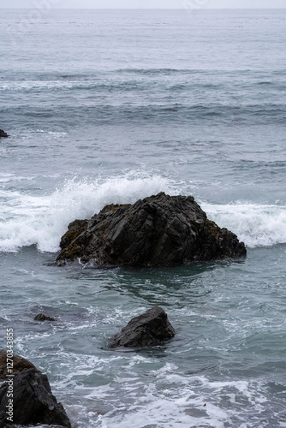Obraz waves crashing on rocks
