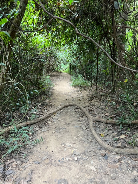 Fototapeta Hiking path towards Wat Pha Lat temple in Chang Mai