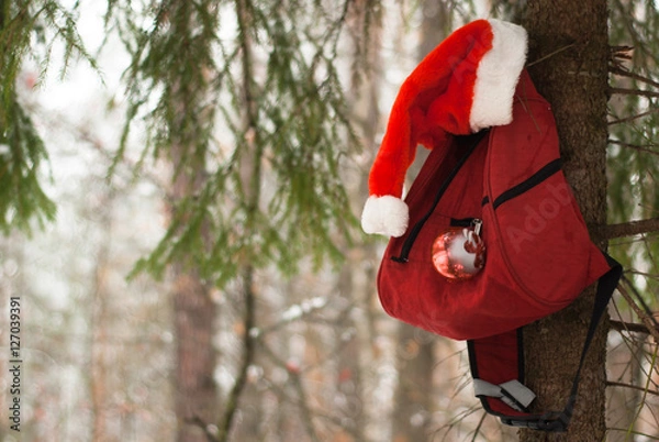 Fototapeta Red backpack hanging on the tree,