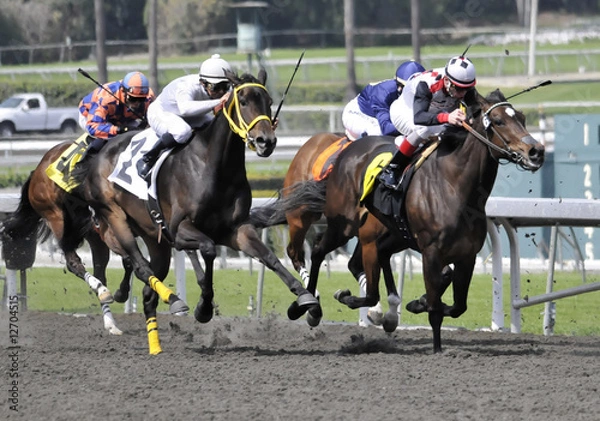 Obraz Four Horses Across