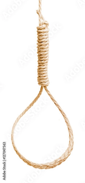 Obraz noose