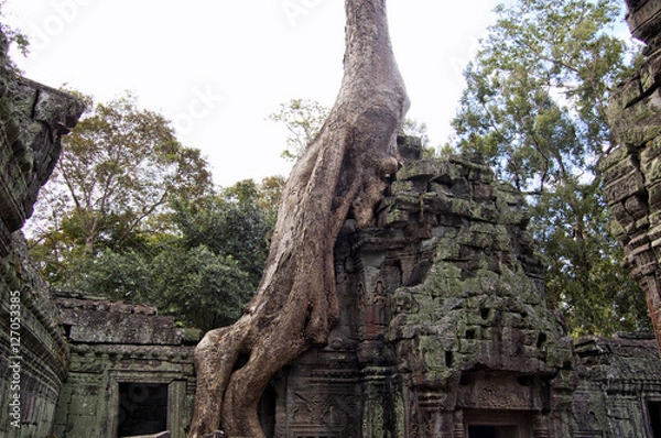 Fototapeta Ruins at Angkor Wat