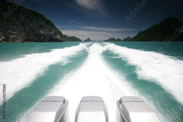 Obraz speed 2 detail in white water