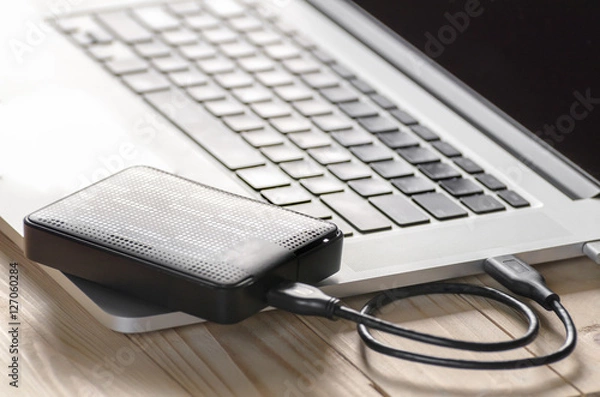 Obraz External hard disk and laptop computer