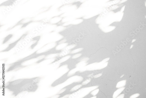 Obraz Abstract natural tree leaves shadow on white wall background