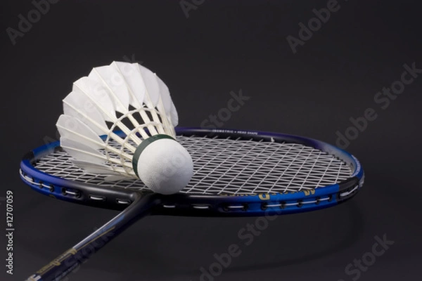 Obraz racket and shuttlecock