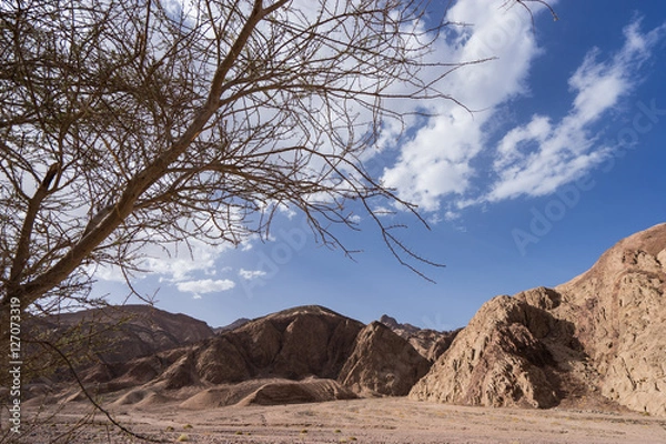 Obraz desert landscape