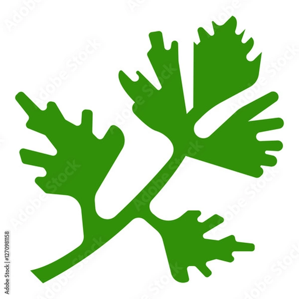Fototapeta Cilantro Vector Design Icon Style