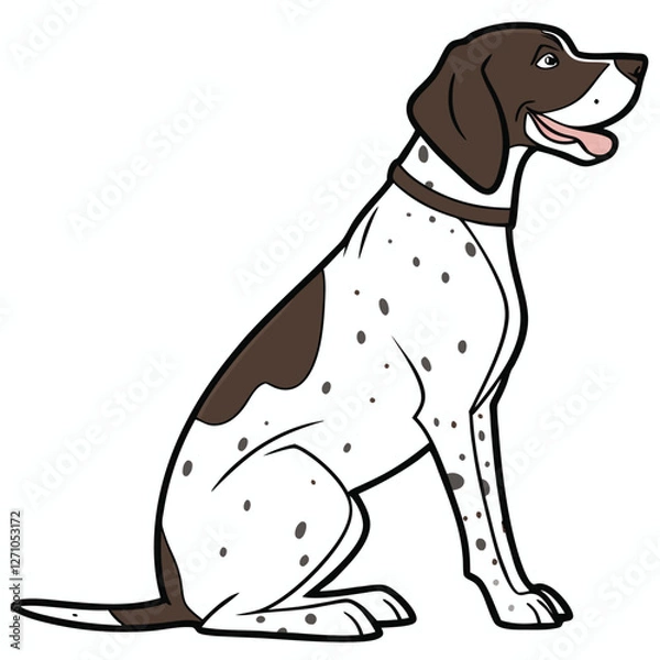 Obraz High Quality German Shorthaired Pointer Dog Vector