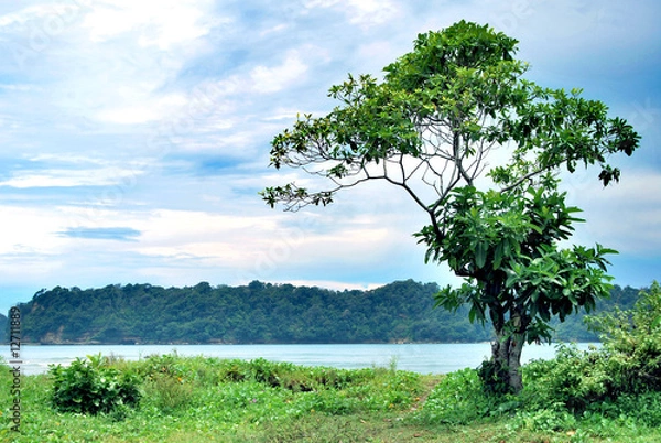 Obraz At Tamban East Java beach side