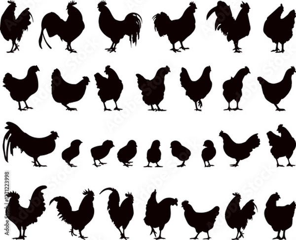 Obraz roosters, hens, chickens set black silhouette, vector