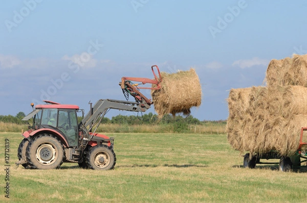 Obraz chargement du foin