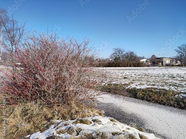 Fototapeta Winterlandschaft mit Raureif und Schnee 