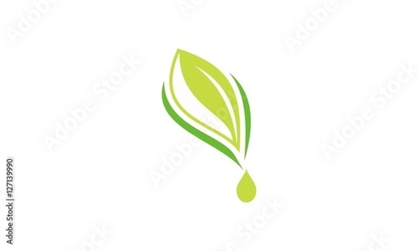 Obraz Natural product logo design vector template. Leaf