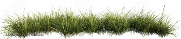 Obraz grass line 2 fresh 