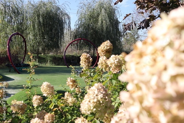 Fototapeta Field with playground and swings with blooming hydrangea bushes in summer.