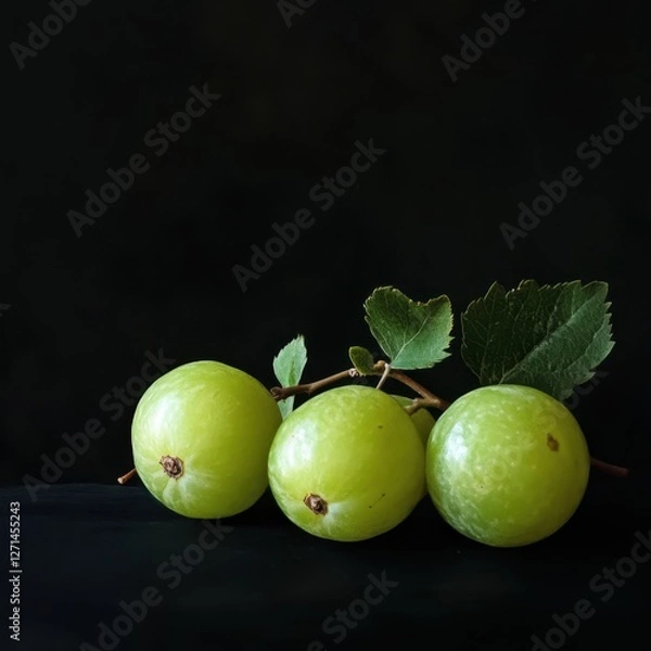 Obraz fresh green Amla fruits on a branch with leaves against a dark background
