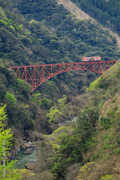 Obraz 渓谷を渡る赤い鉄橋