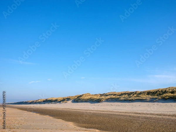 Obraz Castricum aan Zee, Noord-Holland province, The Netherlands
