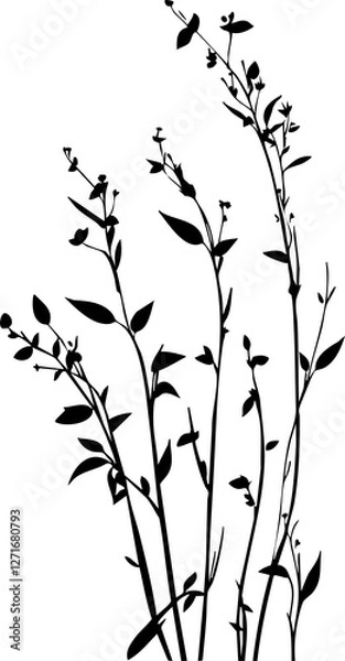 Fototapeta Small leaf plant silhouette pattern wallpaper. Black and white. minimal artwork. simple template. tattoo design. card and package. PNG tranparent.