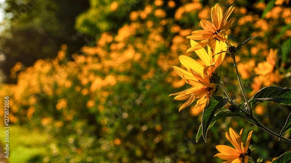 Obraz żółte kwiaty