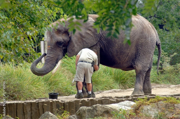 Fototapeta Trening zachowań