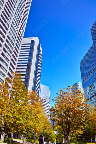 Fototapeta 品川　高層ビル群