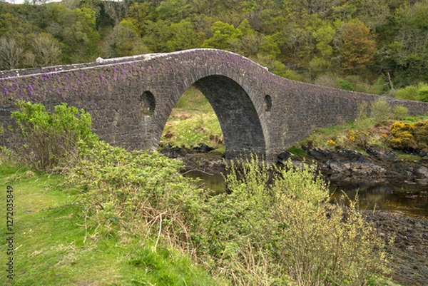 Obraz Arched Bridges of rural Scotland