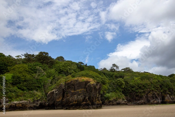 Obraz tropical beach with palm trees