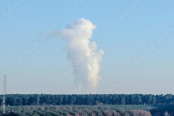 Obraz smoke coming from forest