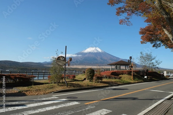 Obraz 富士山　山中湖　 長池親水公園から撮影
