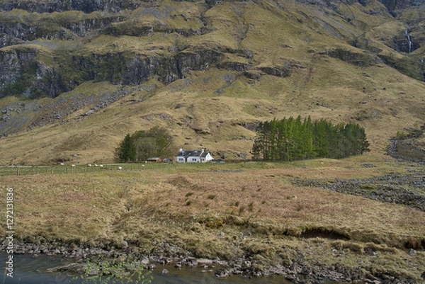 Obraz Beautiful view of the sottish highlands