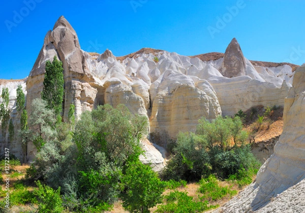 Obraz White valley. Cappadocia, Turkey