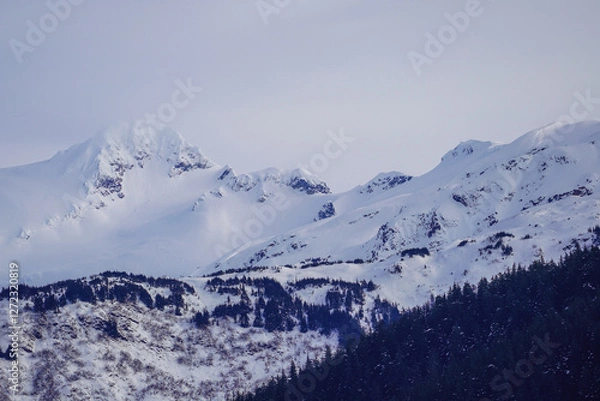 Obraz Juneau Snow Capped Mountains