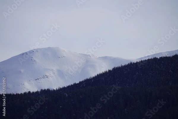 Obraz Juneau Snow Capped Mountains