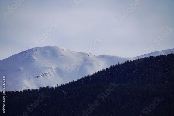 Obraz Juneau Snow Capped Mountains