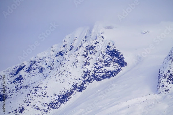 Obraz Juneau Snow Capped Mountains