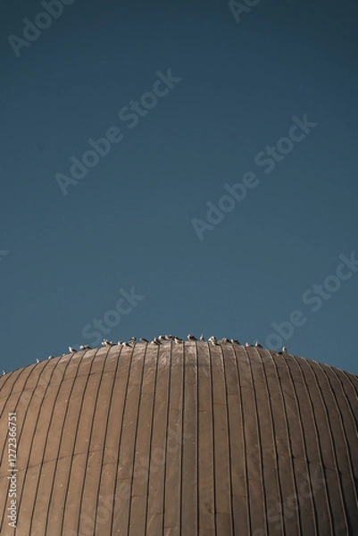 Fototapeta Palacio de Las Artes Reina Sofía. Detail of the arts centre in Valencia with unique and modern architecture that offers opera, theatre, recitals