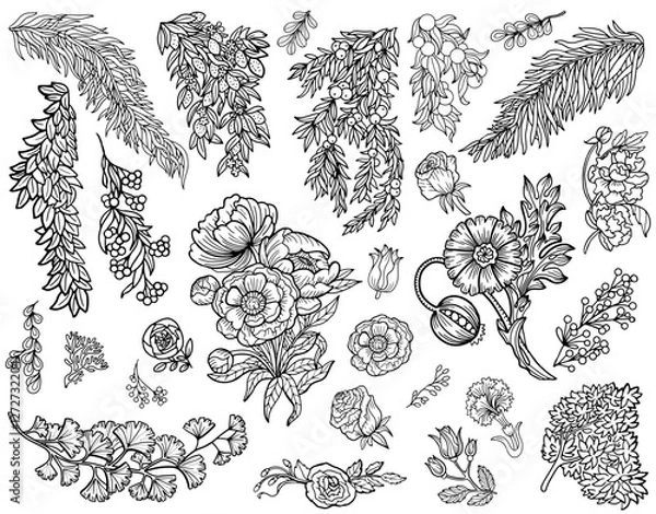 Fototapeta Design vector set with line art botanical elements, leaves, fruit and flowers. Vintage floral collection with hand drawn illustrations isolated on white. 