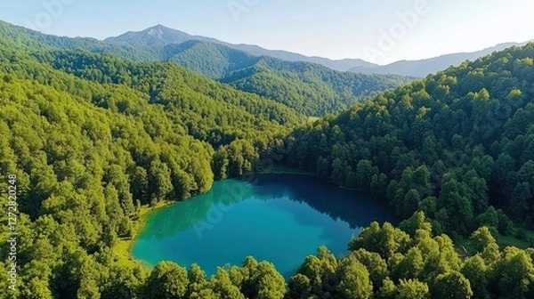 Fototapeta Aerial view of a tranquil lake surrounded by lush green trees and vibrant natural scenery