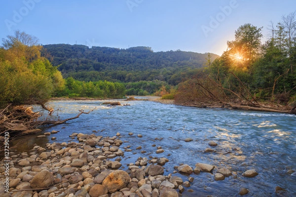 Fototapeta The rocky shore of a mountain river. The rays of the setting sun shining through the tree branches.