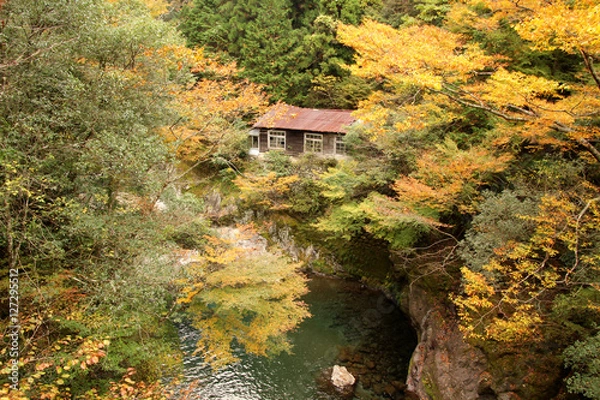 Obraz 上勝町の秋